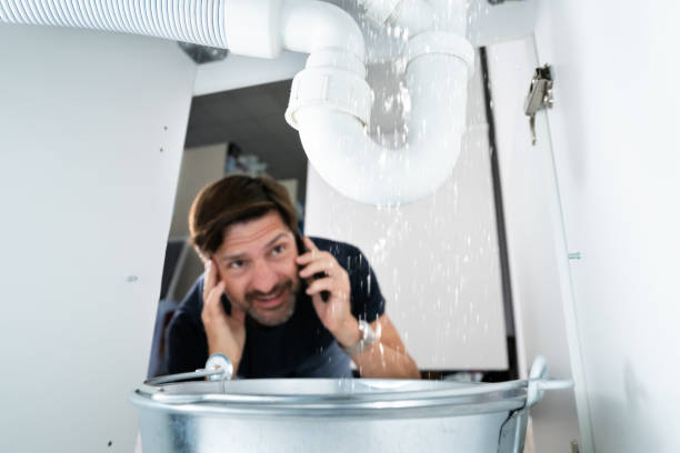 Best Drain Cleaning Services  in Edina, MO