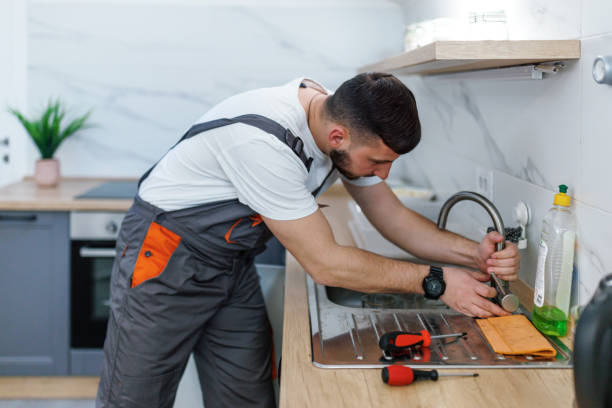 Best Local Plumber Services  in Edina, MO