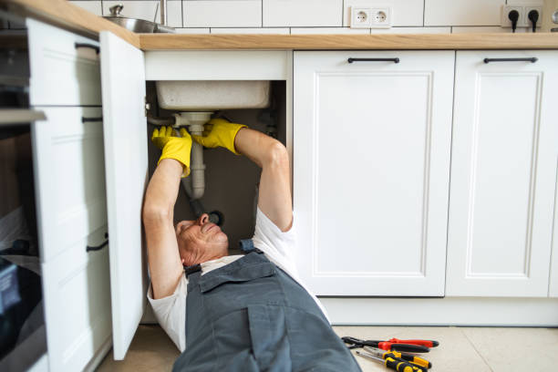 Best Toilet Repair Services  in Edina, MO