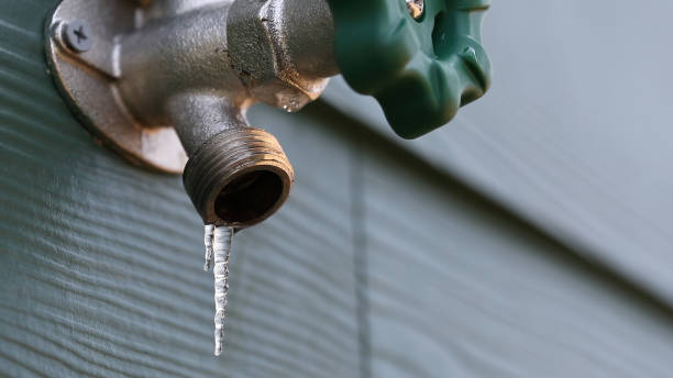 Best Sewer Line Replacement  in Edina, MO