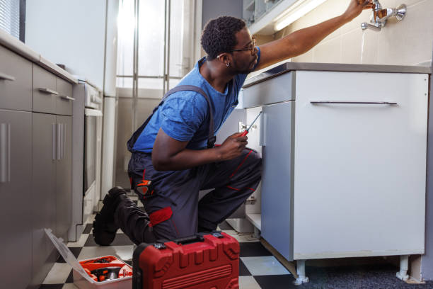 Best Emergency Plumber  in Edina, MO
